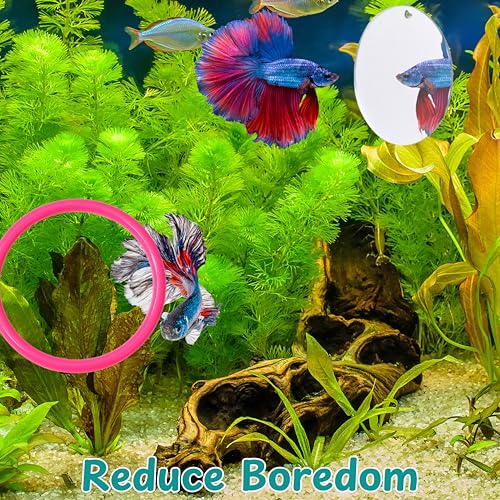Image of Betta Fish Enrichment Toys Ring with Mirror and Floating Ball, Exercise Mirrors and Training Ring, Floating Mirrors Aquarium with Feeding Rings, Betta Fish Tank Accessories (Pink+Mirror+Ball, 6.4cm)