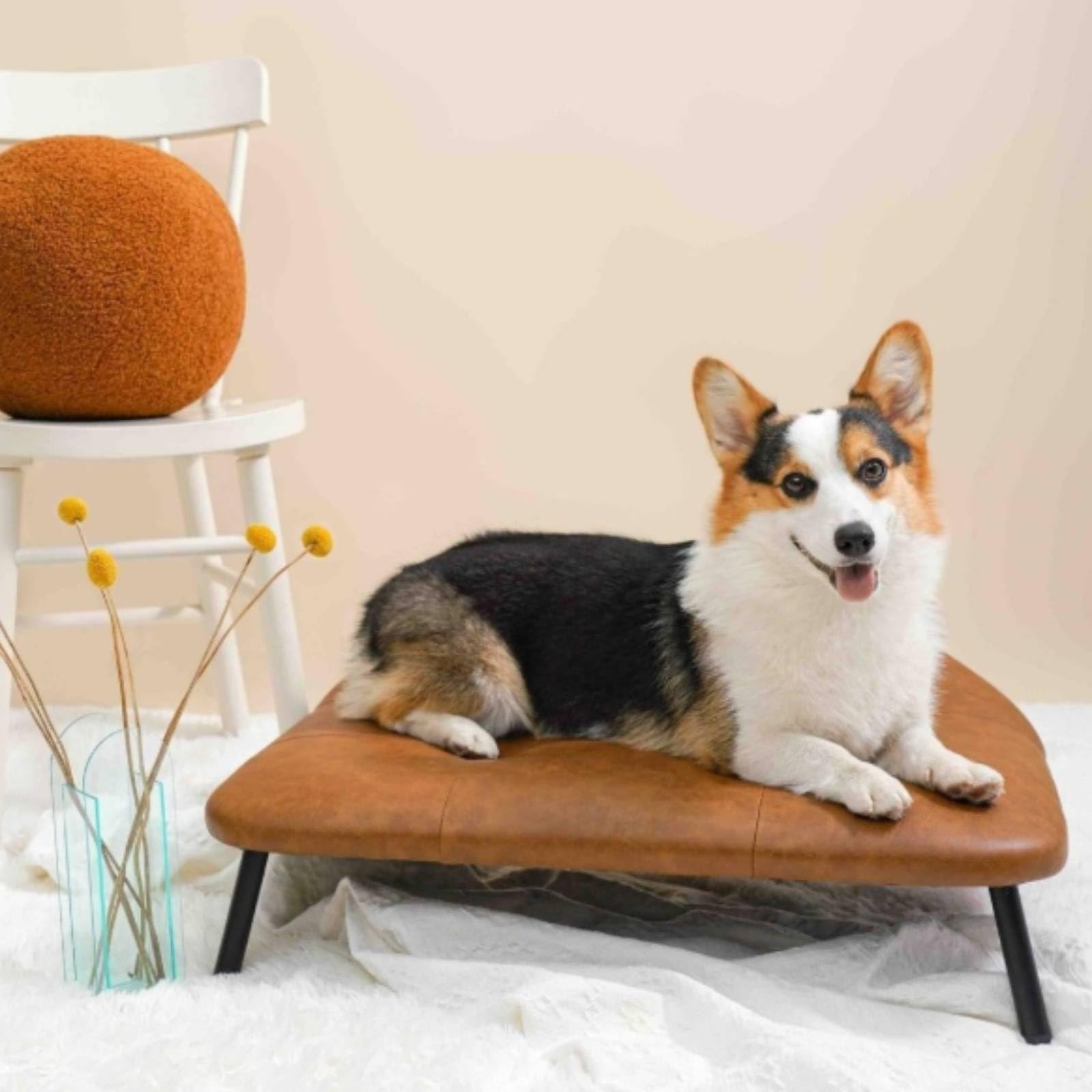 Harilla Letto per Cani con Struttura in Legno E Rivestimento in Pelle Sintetica Marrone con Gambe Cilindriche Nere per Piccoli Cani E Cuccioli Adatto per Soggiorno E Camera da Letto
