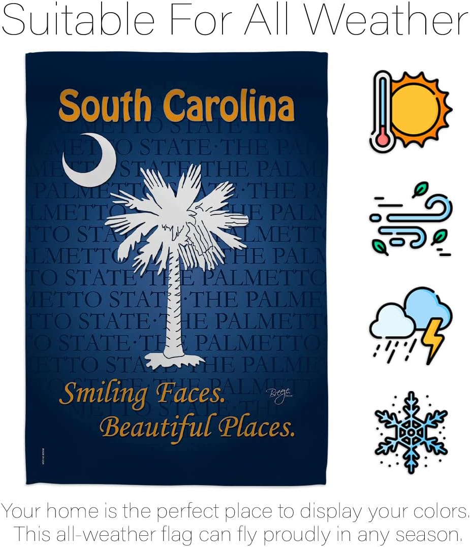 Breeze Decor G158148 South Carolina Americana States Impressions Decorative Vertical Garden Flag 13" x 18.5" Printed In USA Multi-Color