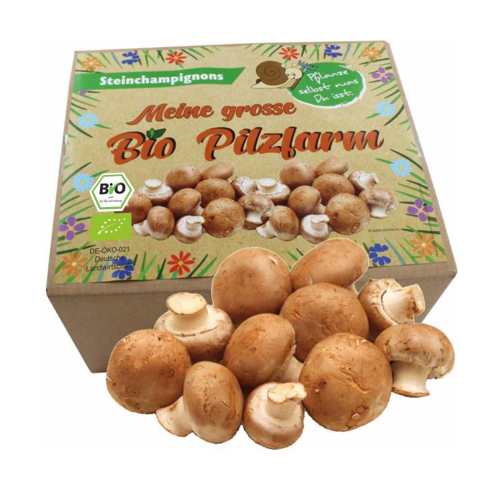 XXL Bio Steinchampignon 10 kg große Kultur, Komplettes Pilzzuchtset für die eigene Pilzzucht