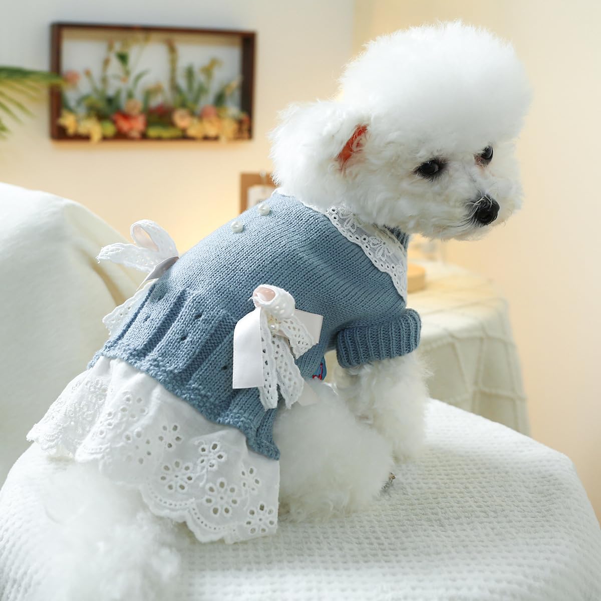 Dog Elegant Sweater Dress Puppy Cute Bowknot Knitwear Clothes Cat Lightweight Warm Pullover Dress Winter Small Dog Outfits Chihuahua Sweater Yorkie Teacup Birthday Holiday Clothes