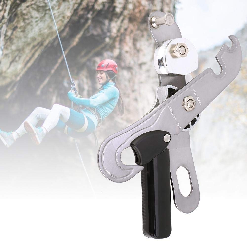 Keenso Dispositivo de Descenso descendente EN 12275, Dispositivo de Control Manual antipánico para Exteriores para Escalada en Roca Protección Auxiliar anticaída descendente
