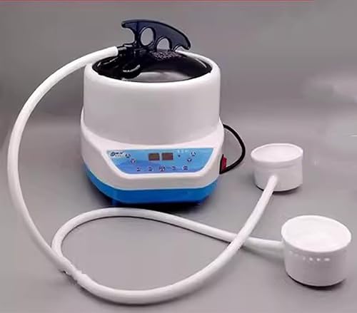 Générateur De Vapeur De Sauna 2000 W 