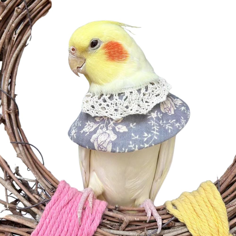 Copfeu Adjustable Bird Collar Anti Bite Elizabethan Recovery Cone, Bird Neck Protector for Feather Plucking, Skin-Friendly Bird Neckwear Full Body Shield (Macaw,Grey)