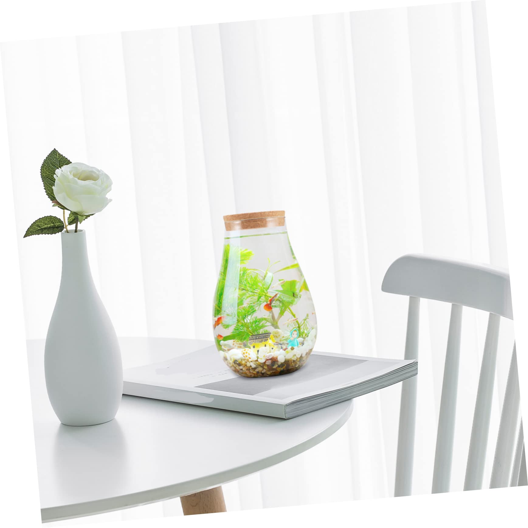 Terrario in Vetro e Legno per Piante e Muschio, Decorativo