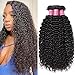 ALI JULIA Hair 3-pack Bundles 10A Malaysian Virgin Curly Hair Weft Unprocessed Human Hair Weft Extensions Natural Color (20 22 24 inch)