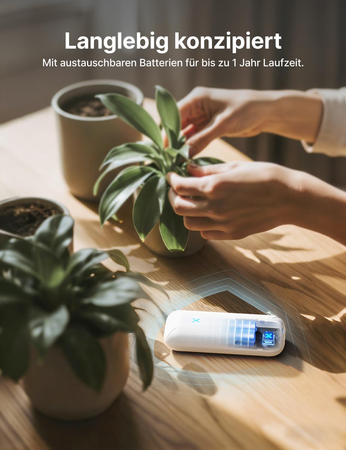 X-SENSE WLAN Hygrometer-Thermometer mit SBS50-Basisstation, Smart Temperatursensor für Innenraum-Temperatur & Luftfeuchtigkeit, App-Benachrichtigungen, 4 Sensoren & 1 Basisstation，STH0B41