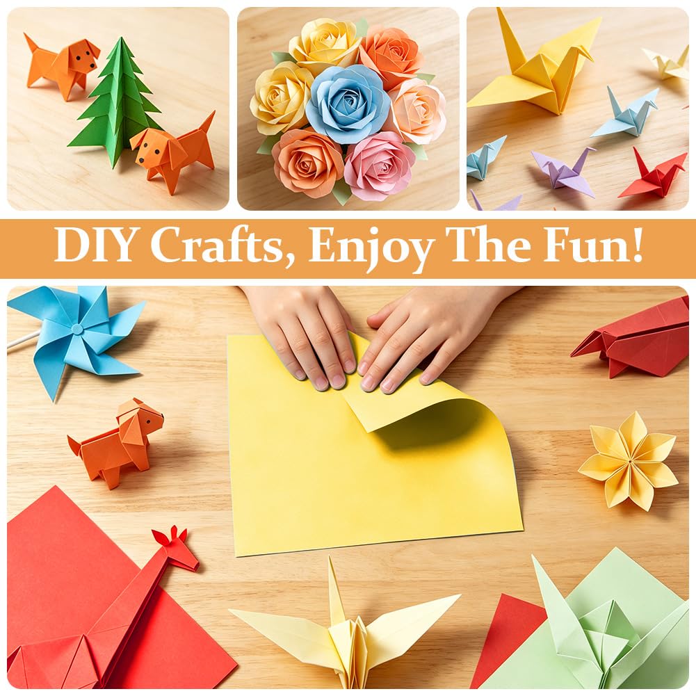 View 5