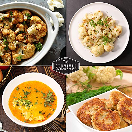 Survival Garden Seeds - Snowball Cauliflower Seed For Planting - Packet With Instructions To Plant And Grow Amazing White Vegetables In Your Home Vegetable Garden - Non-Gmo Heirloom Variety #TOP4