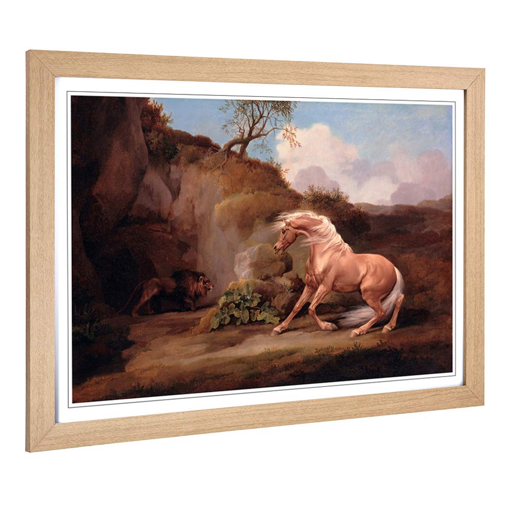 Big Box Art Framed Print of George Stubbs Horse Frightened by a Lion 2 Design | Wall Art Picture | Home Decor for Kitchen, Living Room, Bedroom, Hallway, Oak, A2 / 24.5x18 Inch / 62x45cm