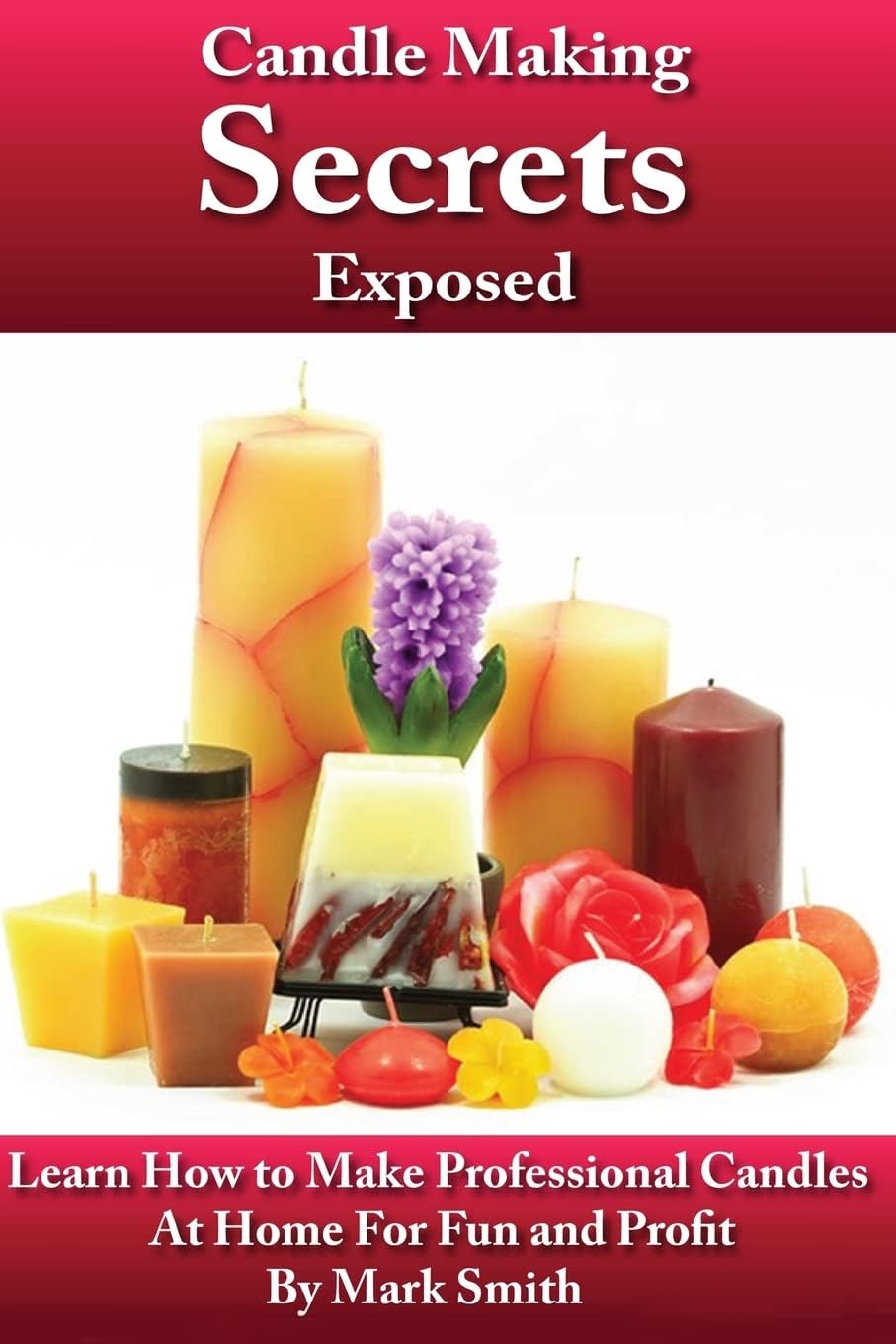 Candle Making Secrets Exposed: Learn How To Make Professional Candles At Home For Fun And Profit Paperback – March 20, 2013