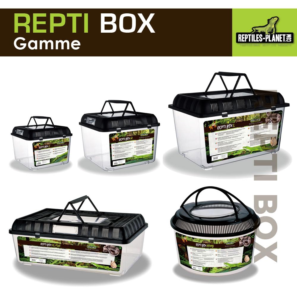 Reptiles Planet Repti Box XL Boite de Transport 42 x 26 x 16 cm