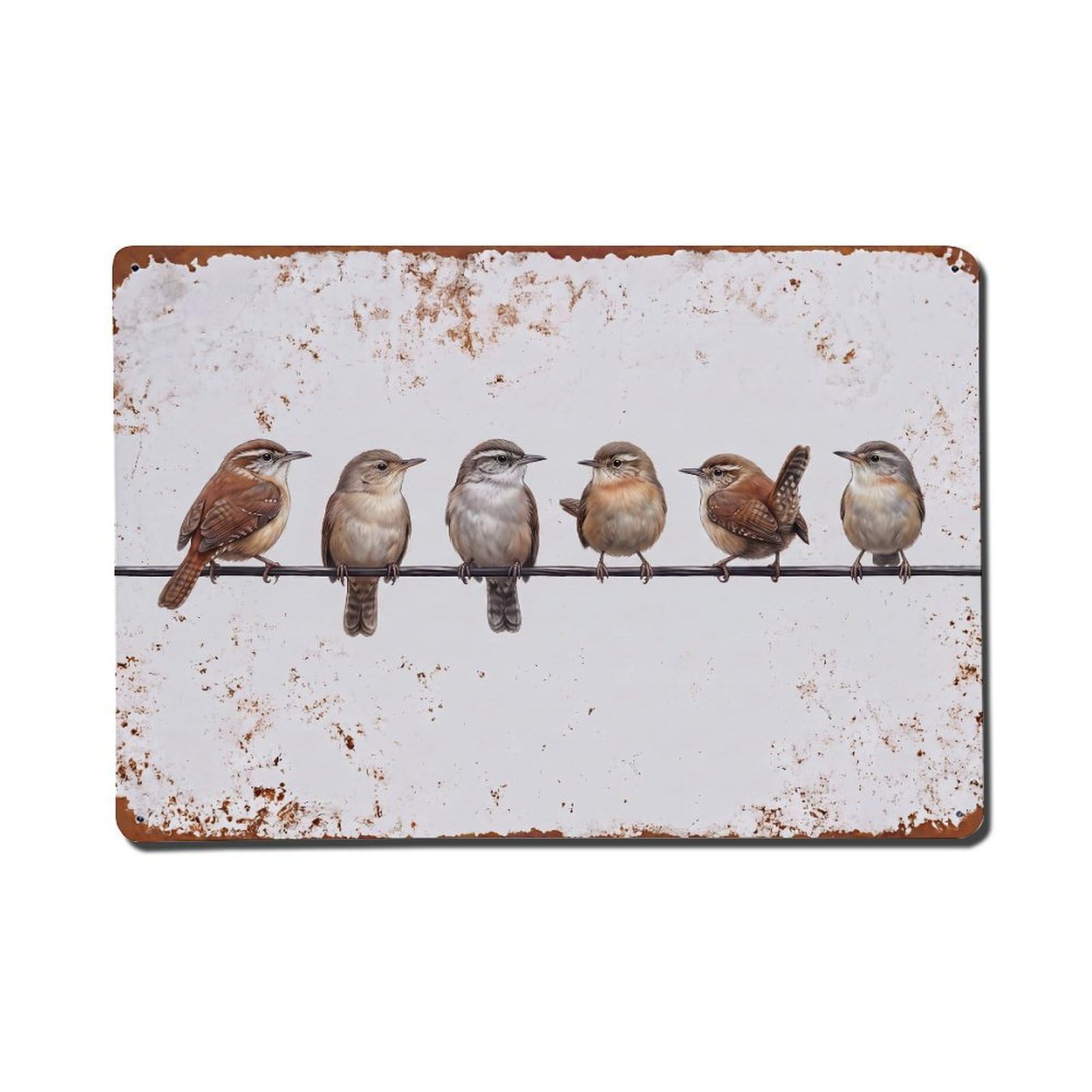 Vintage Retro Birds Wren Metal Tin Sign