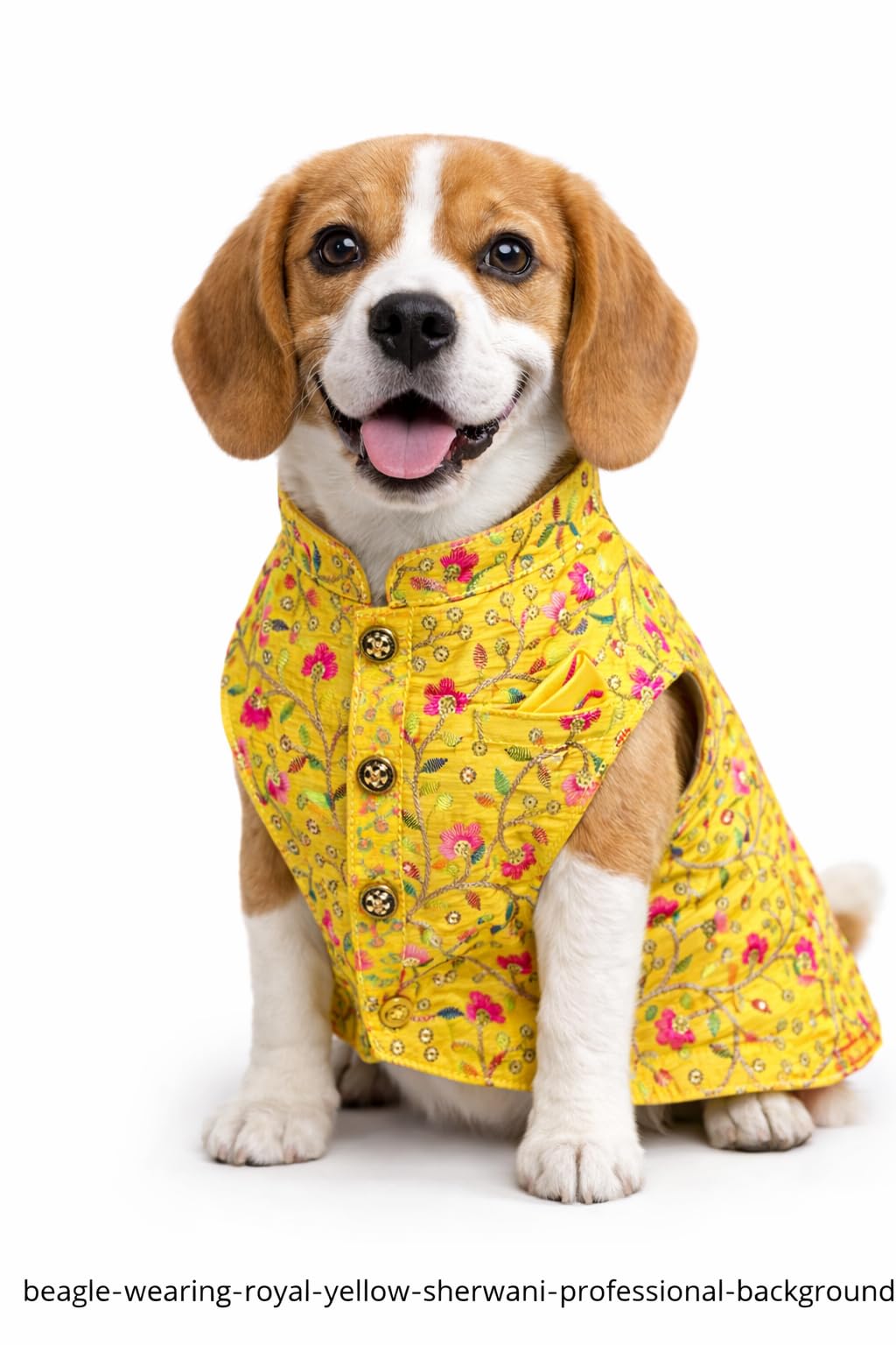 LittlePaws Royale Embroidered Dog Kurta Sherwani for Small, Medium & Large Dogs – Premium Dog Dress for Weddings & Festivals | Ethnic Pet Outfit (Yellow, M)-image-23