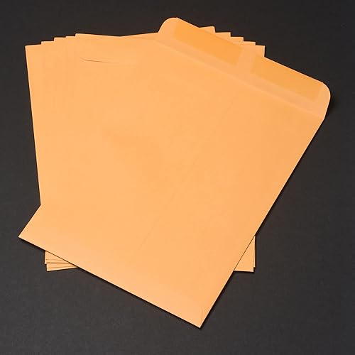 Miniatura 5 de Quality Park 41465 - Sobres de calidad para catálogo, pesadosengomados, 9 x 12, 28 libras, Kraft, 250caja (QUA41465), marrón claro