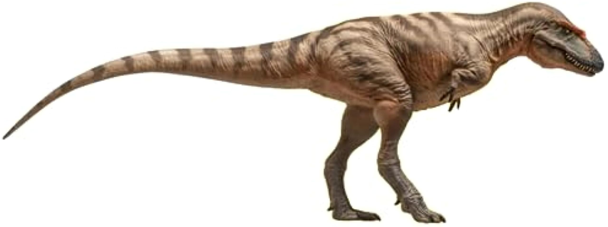 Amazon | PNSO 成長シリーズ 71 ゴルゴサウルス 肉食 恐竜 フィギュア