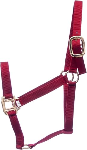 Jeffers Premium Nylon Horse Halters, 600-900 lb (3-ply, 1")