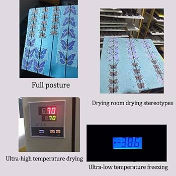 標本　チャーラクセズ・スーボーナタズ 蝶 71iLk+HurkL._UF350,350_QL80_.jpg