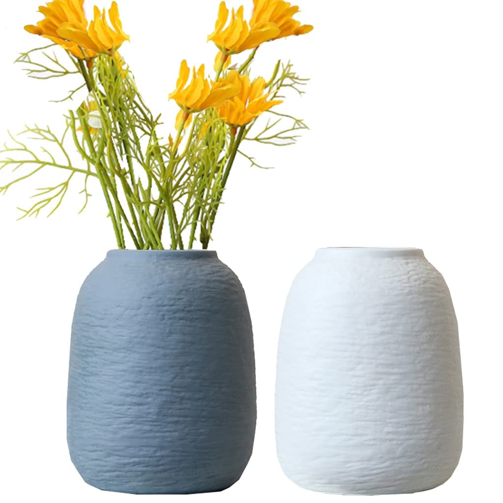 Ceramic vase， Set of 2,Clay Vase for Flowers, Decorative