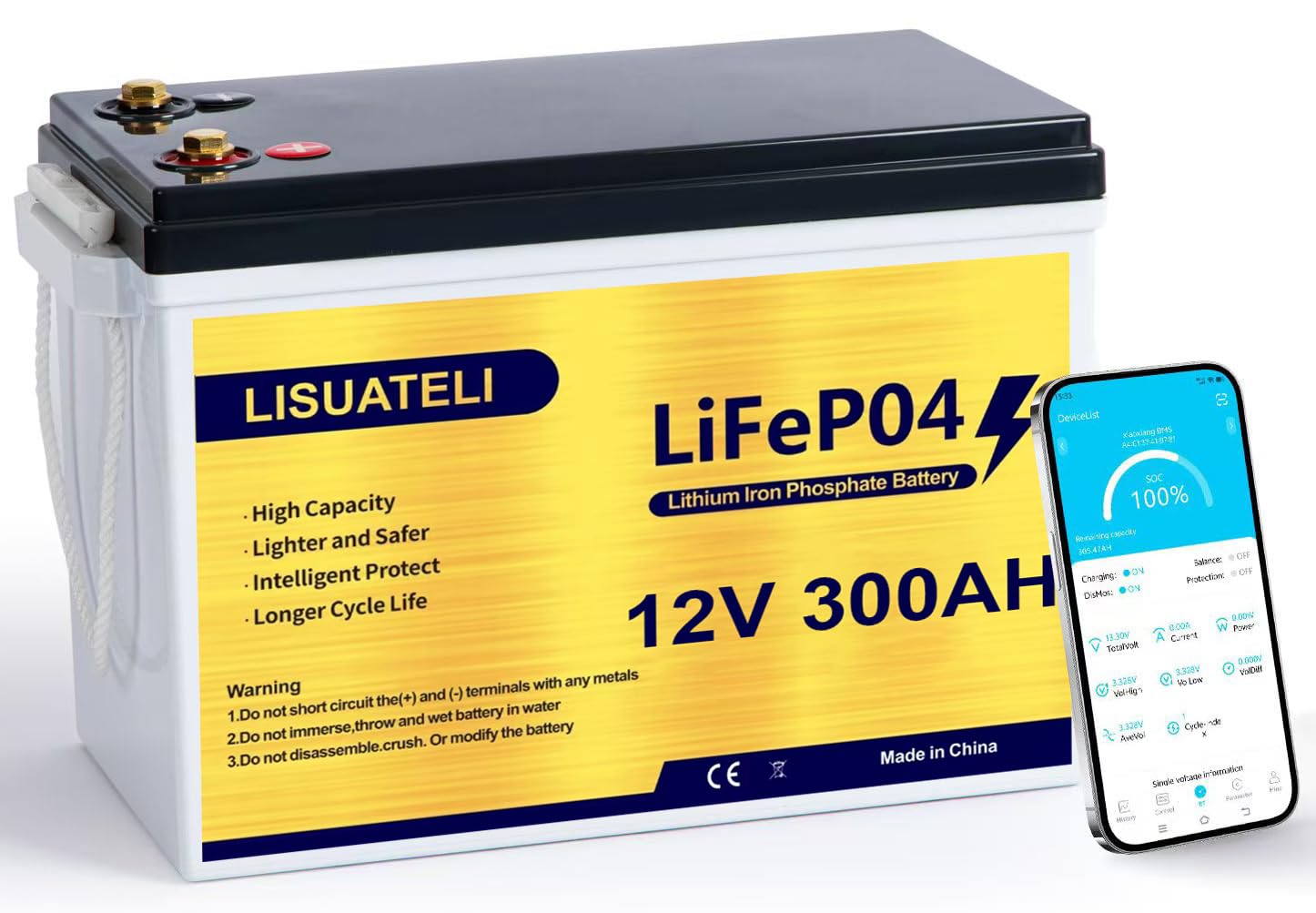 LISUATELI 12V LiFePO4 Lithium Batterie