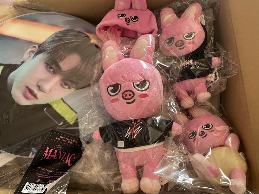 Amazon.co.jp: straykids stray kids スキズ チャンビン DWAEKKI  