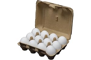 White Wooden Eggs for Hey Pal Egg Spinner Decoration