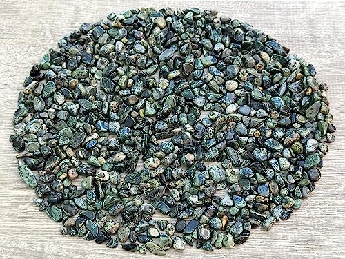 Image of GAF TREASURES 2 oz Lot Natural Semi Tumbled Gemstone Chips, Crushed Mini Crystals, Undrilled Crystal Chips (Kambaba Jasper)