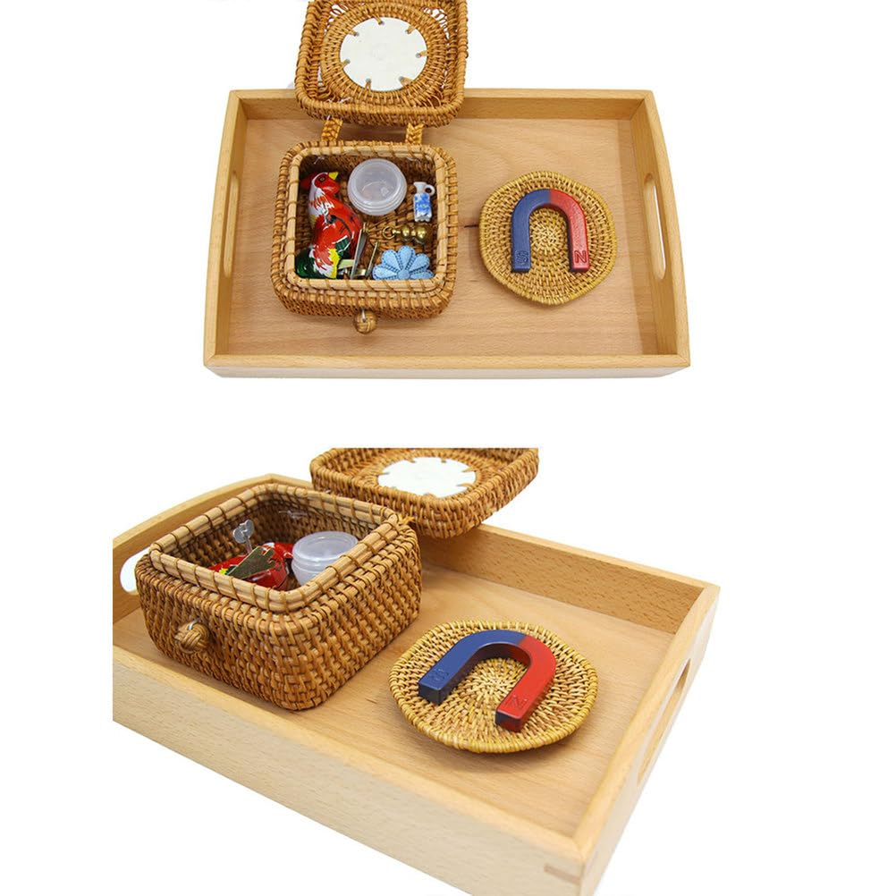 Montessori Magnet-Wissenschaftsarbeitsset, U-förmiger Magnet & sensorisches Entdeckungsspielzeug für Kleinkinder ab 3 Jahren