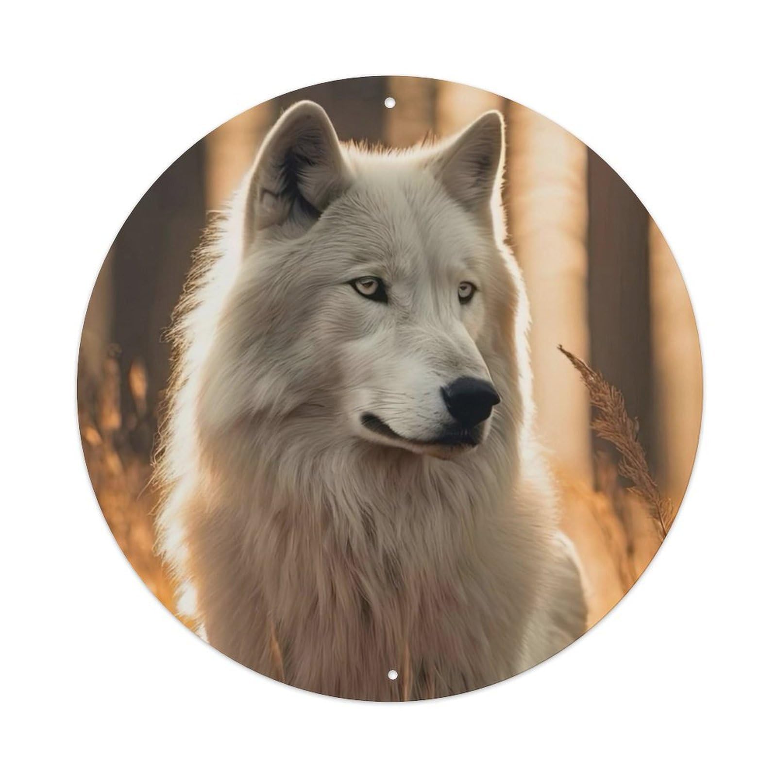 Animal Looking Away from The Arctic Wolves Metal Tin Sign