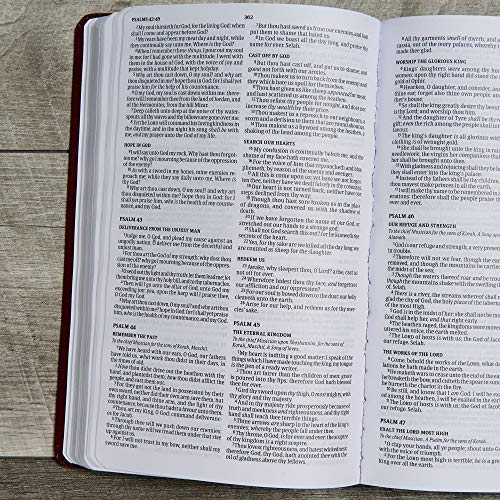 KJV Gift and Award Bible, Burgundy Imitation Leather: Holy Bible