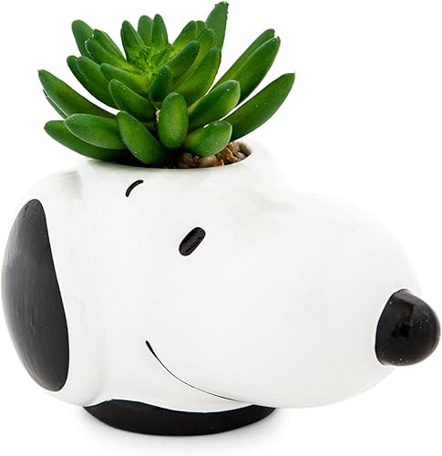 Miniatura 2 de Peanuts Snoopy Face Ceramic Mini Planter with Artificial Succulent | Small Flower Pot, Faux Indoor Plants for Desk Shelf, Home Decor Trinket Tray |