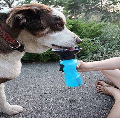 Dog viaggi bottiglia di acqua ciotola di W. Air
