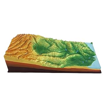 Amazon.co.jp: 地理教育モデル 平野、丘陵、盆地、山、台地の