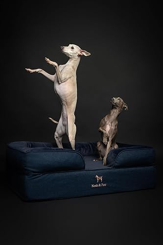 Miniatura 7 de NOAH & PAW Cama grande para perro, 35 x 25 x 11 pulgadas, camas ortopédicas para perros, espuma viscoelástica con cáscara de huevo con gel Negro