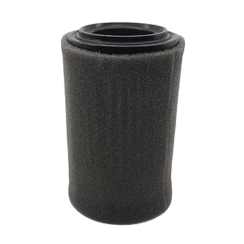 SAZ DEKOR Air Filter Assy Direct Replaces Fit for Shineray 250cc High Performance