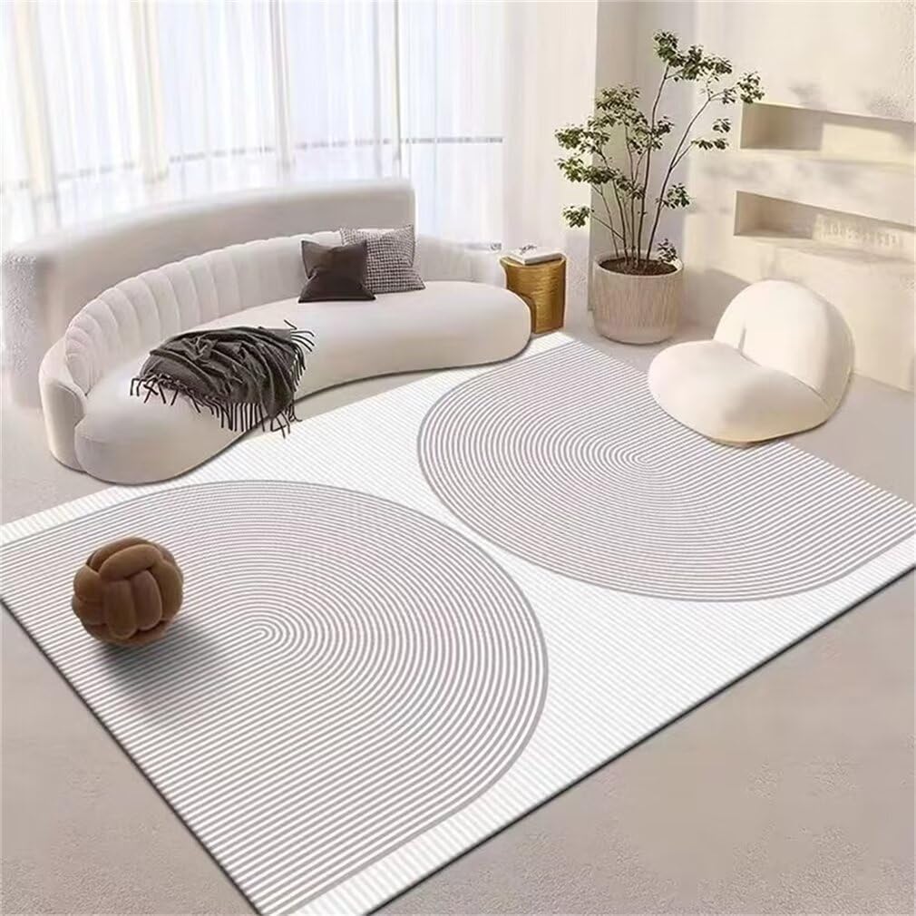 Moquette salon tapis doux salon 200x300cm tapis de salon gris