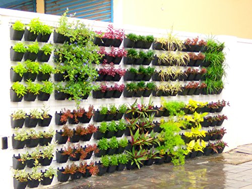 Image of Garden Vertical Hook Pot, 10 Pcs, Black Colour