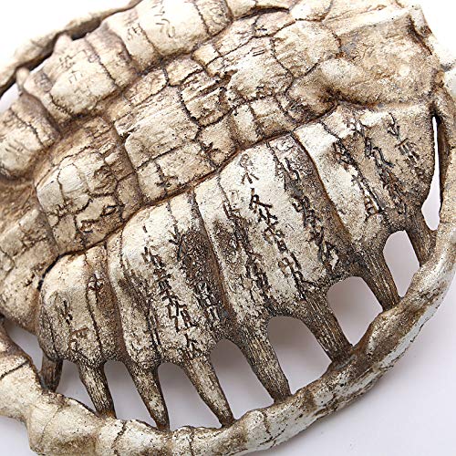 Résine murale écaille de tortue, cadeau idéal pour passionnés - 5