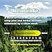 UltraScent Vacuum Stix, Vacuum Deodorizer & Air Freshener Sticks for All Vacuums, Long-Lasting Vacuum Cleaner Deodorizer, Non-Toxic, Made in USA (1-Pack (4 Stix), Mountain Air)
