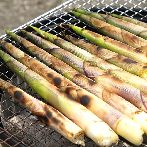 Amazon.co.jp: 北海道産 天然 根曲がり竹 1kg (冷蔵品) 春の味覚 Amazon.co.jp: 北海道産 天然 根曲がり竹 1kg (冷蔵品) 春の味覚