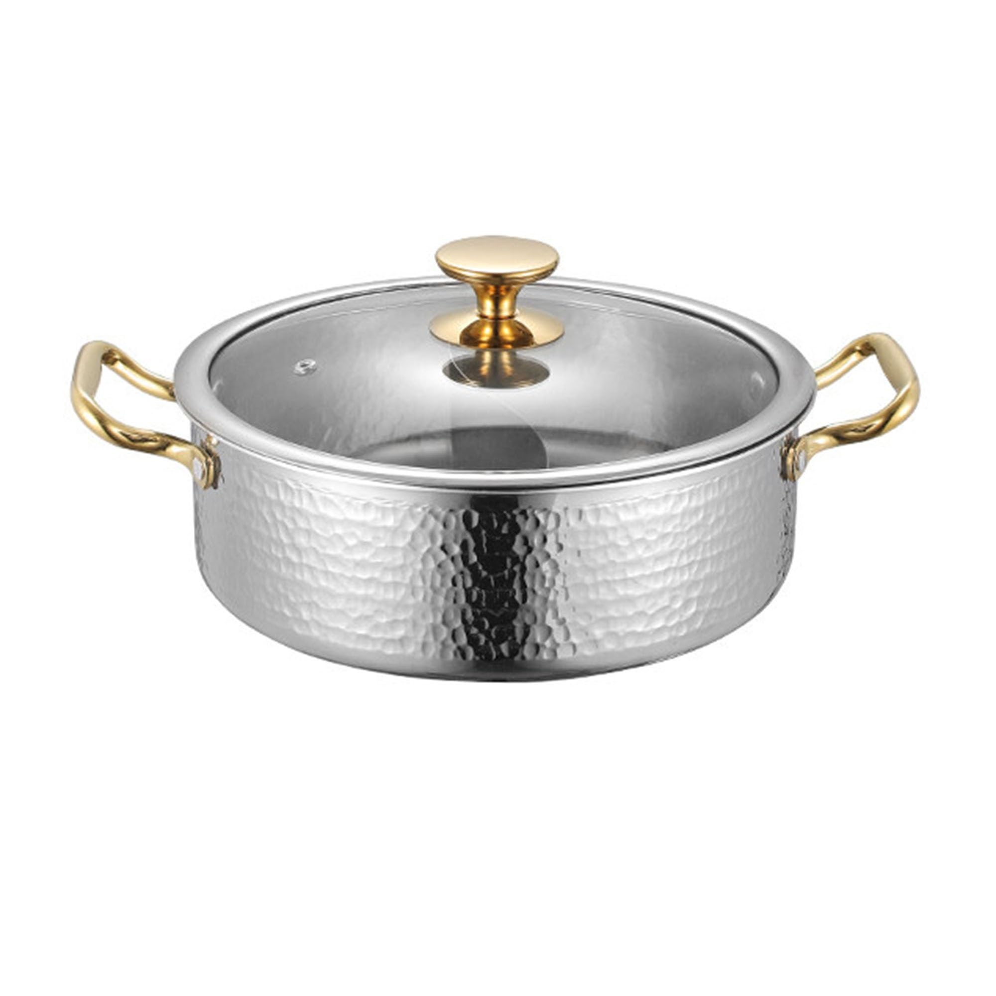 Dual-Flavor Divided Stock Pot with Glass Lid for All Stovetops