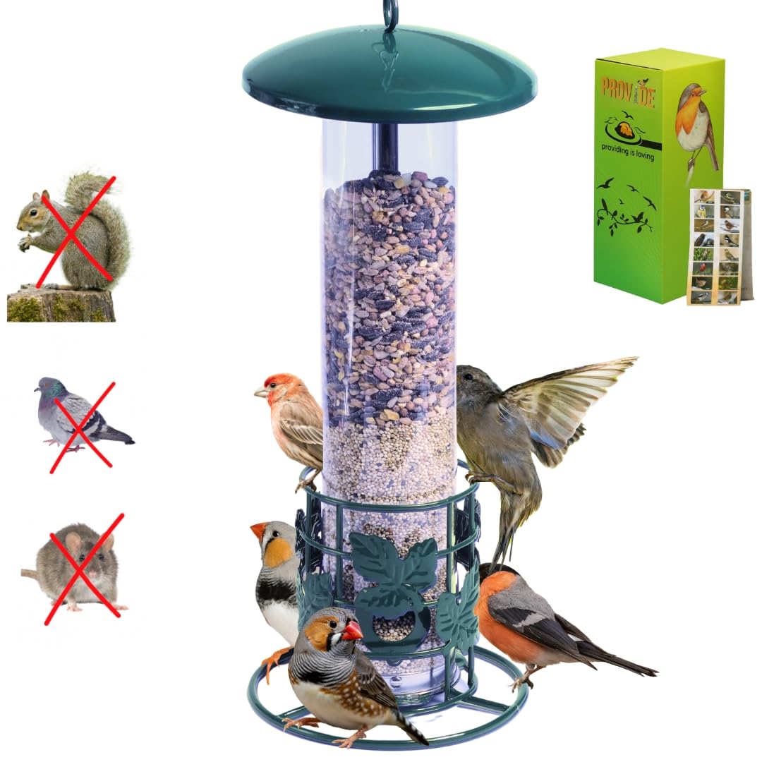 Squirrel proof bird feeders | STOPS-RAT,PIGEON, SQUIRREL | Easy Clean & Refill - Heavy Duty Metal bird feeder for garden- bird seed feeders hanging, bird feeders for small birds -BY PROVIDE