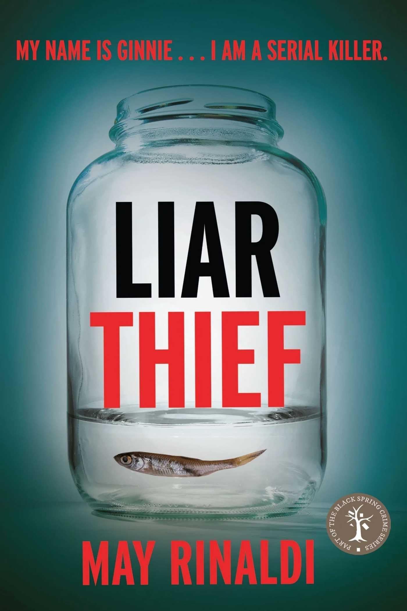 Liar Thief by May Rinaldi (Paperback Book)
