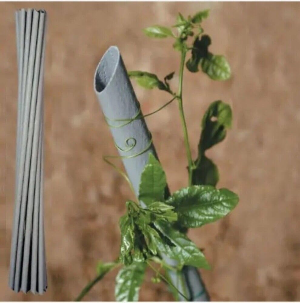 Pali sostegno ortaggi pomodori tutore piante in plastica pvc Tenax (30, 180 CM)