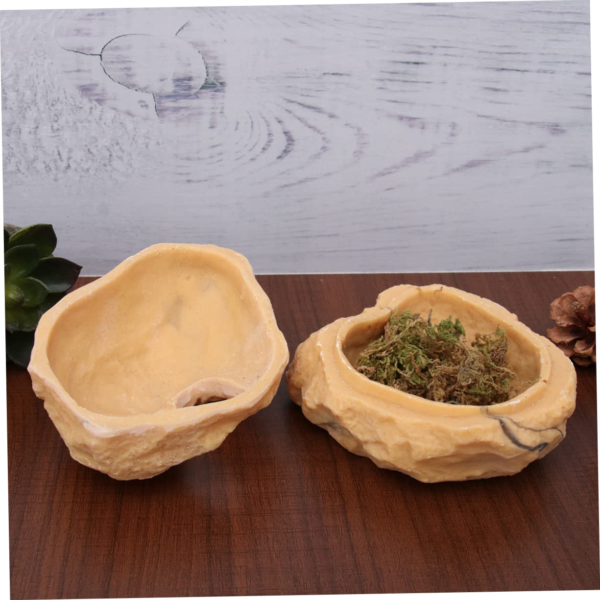 Supvox Reptilienversteck Höhle S Terrarium Höhle Für Eidechsen Spinnen Und Einsiedlerkrebse Natürliche Textur Sicheres Versteck Mit Stabilem Crawler Shelter Design Für Terrarium Und Faunarium