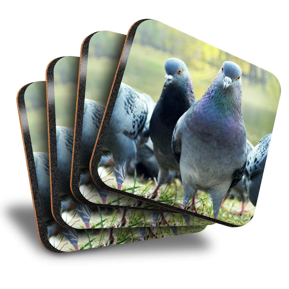 Destination Vinyl Ltd Great Coasters (Set of 4) Square - Flock Of Pigeons Bird Pigeon Drink Glossy Coasters/Tabletop Protection for Any Table Type #15735