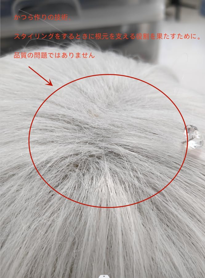 Amazon.co.jp: X JAPAN（エックス・ジャパン） HIDE☆コスプレウィッグ