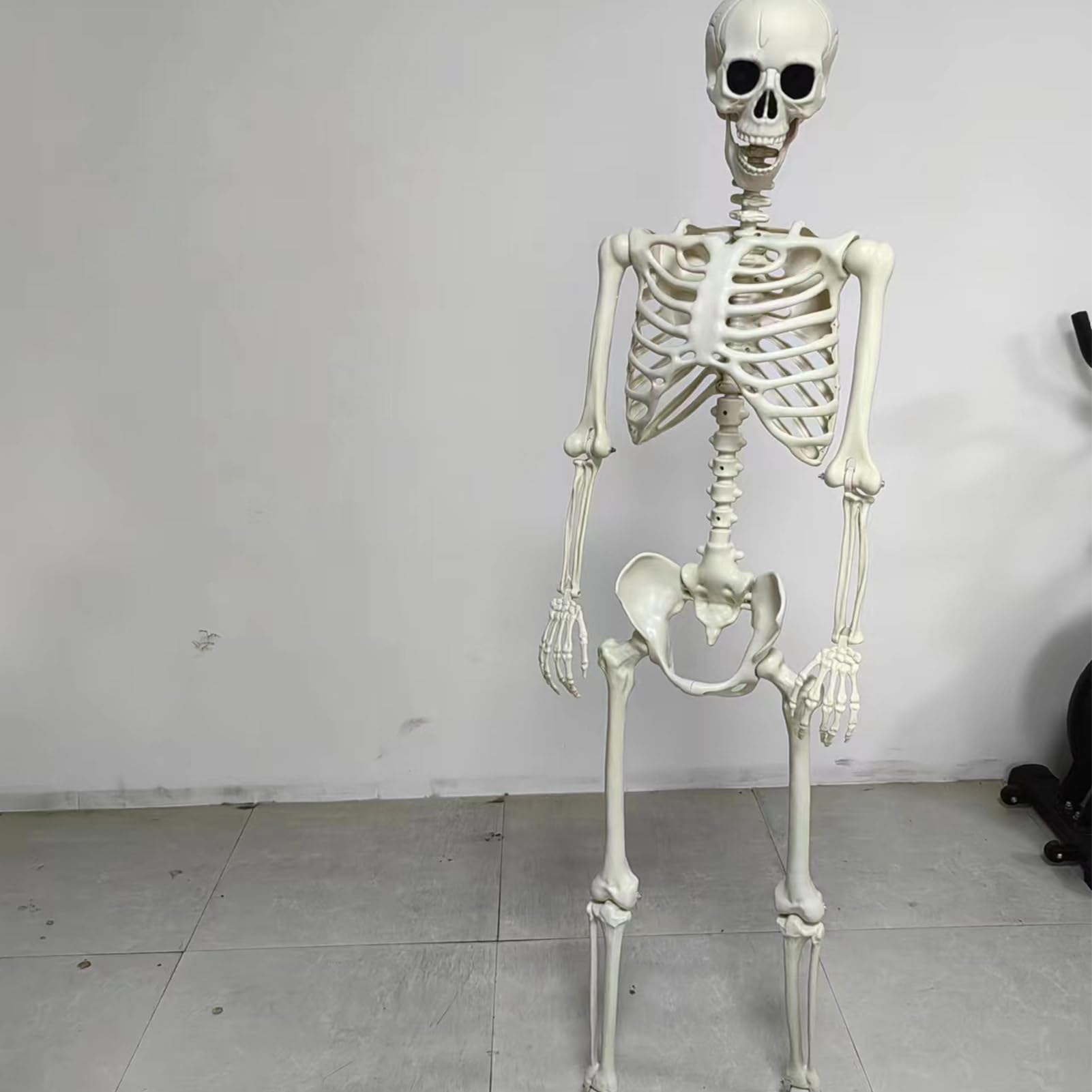 Dekoracja szkieletu – naturalnej wielkości Halloween szkielet dekoracja z ruchomymi przegubami – straszna czaszka ozdoba na grób do domu duchów, ogrodu, dekoracja stołu, na imprezę