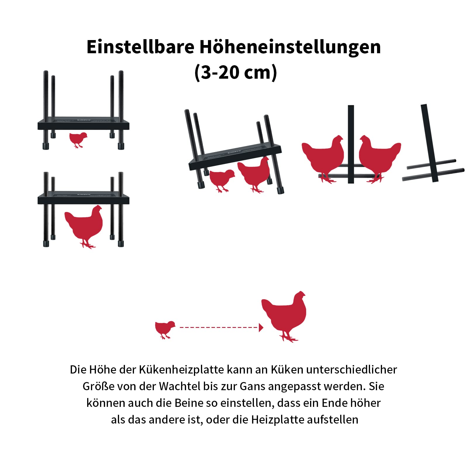 Kükenheizplatte, Briidea 30 x 30 cm Küken Wärmeplatte mit verstellbare Höhe, für bis zu 20 Küken, effiziente Wärmeplatte für optimale Temperaturkontrolle