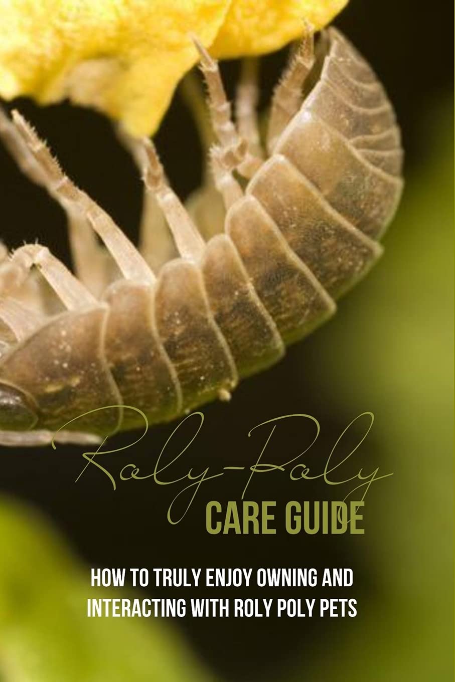 Buy RolyPoly Care Guide How To Truly Enjoy Owning And Interacting